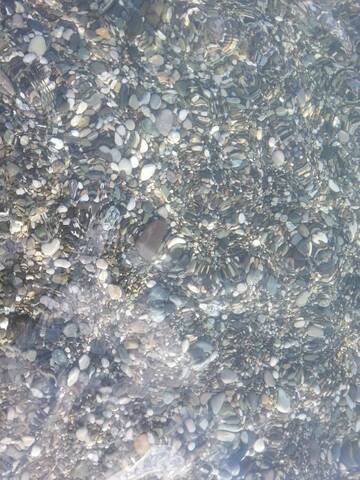 Трехместный номер, вид на сад в Гостевом доме Гостевой дом Южная Пальмира